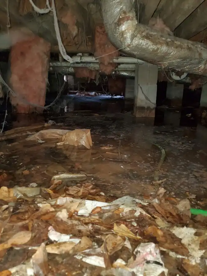 Crawl space flood assessment for Leak Detection & Repair in Frankstown