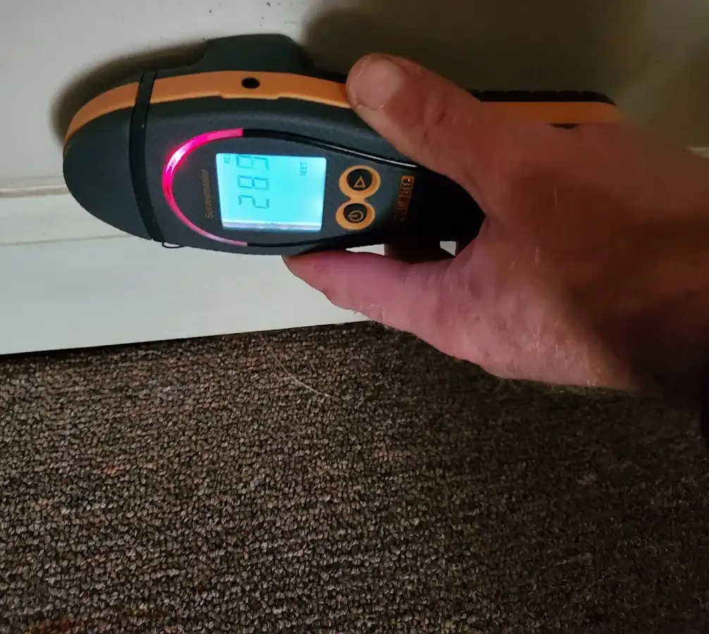 Moisture detection at baseboard during Sewage Cleanup & Sanitation in Frankstown